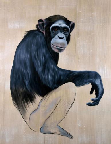 PAN TROGLODYTES - 2018