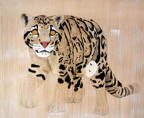 CLOUDED LEOPARD - 2018