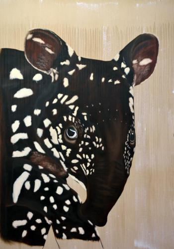TAPIRUS - 2018